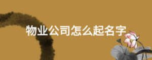 物業公司怎么起名字