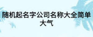 隨機(jī)起名字公司名稱(chēng)大全簡(jiǎn)單大氣