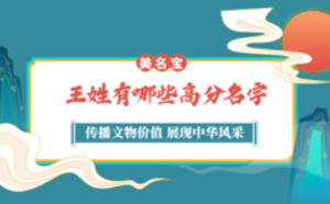 王姓有哪些高分名字