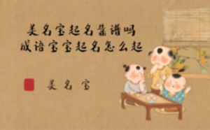 美名寶起名靠譜嗎，成語(yǔ)寶寶起名怎么起