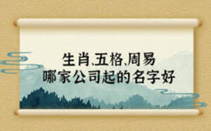 生肖、五格、周易，哪家公司起的名字好