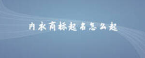 內衣商標起名怎么起