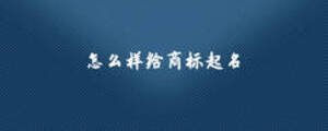 怎么樣給商標起名