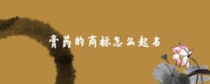 膏藥的商標(biāo)怎么起名