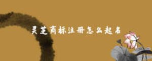 靈芝商標注冊怎么起名