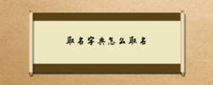 取名字典怎么取名