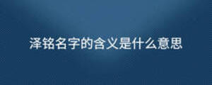 澤銘名字的含義是什么意思