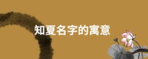 知夏名字的寓意