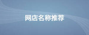 網(wǎng)店名稱(chēng)推薦