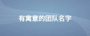 有寓意的團隊名字