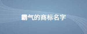 霸氣的商標名字