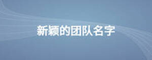 新穎的團隊名字