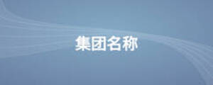 集團(tuán)名稱