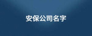 安保公司名字