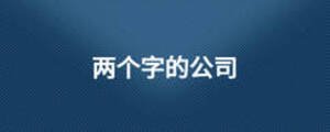 兩個字的公司
