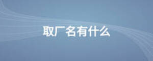 取廠名有什么