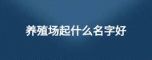 養(yǎng)殖場起什么名字好