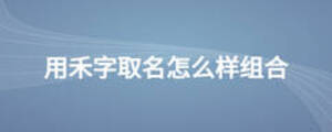 用禾字取名怎么樣組合
