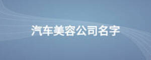 汽車美容公司名字