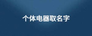 個體電器取名字