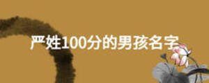 嚴姓100分的男孩名字