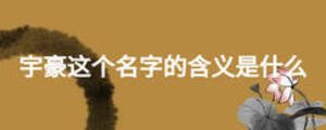 宇豪這個(gè)名字的含義是什么