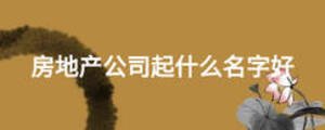 房地產(chǎn)公司起什么名字好