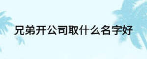 兄弟開公司取什么名字好