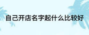 自己開店名字起什么比較好