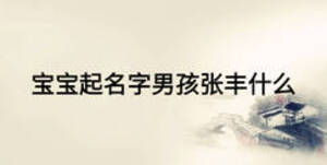 寶寶起名字男孩張豐什么