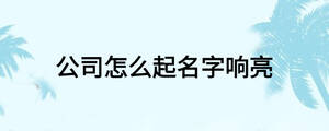 公司怎么起名字響亮