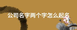 公司名字兩個字怎么起名
