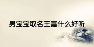 男寶寶取名王嘉什么好聽(tīng)