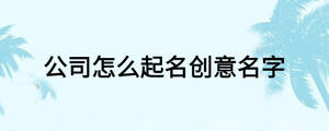 公司怎么起名創(chuàng)意名字