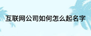 互聯網公司如何怎么起名字