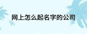網(wǎng)上怎么起名字的公司