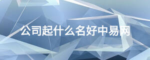 公司起什么名好中易網