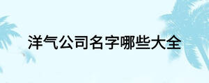 洋氣公司名字哪些大全