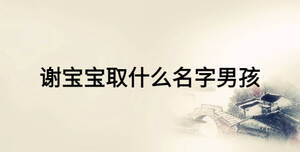 謝寶寶取什么名字男孩