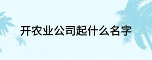 開農(nóng)業(yè)公司起什么名字