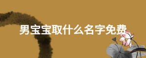 男寶寶取什么名字免費(fèi)