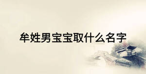 牟姓男寶寶取什么名字