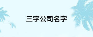 三字公司名字