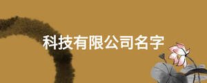 科技有限公司名字