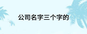 公司名字三個字的