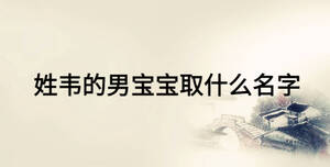 姓韋的男寶寶取什么名字