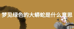 夢見綠色的大蟒蛇是什么意思