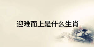 迎難而上是什么生肖