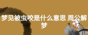 夢見被蟲咬是什么意思 周公解夢