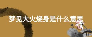 夢見大火燒身是什么意思